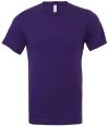 CA3001 CV3001 Retail T-Shirt Team Purple colour image